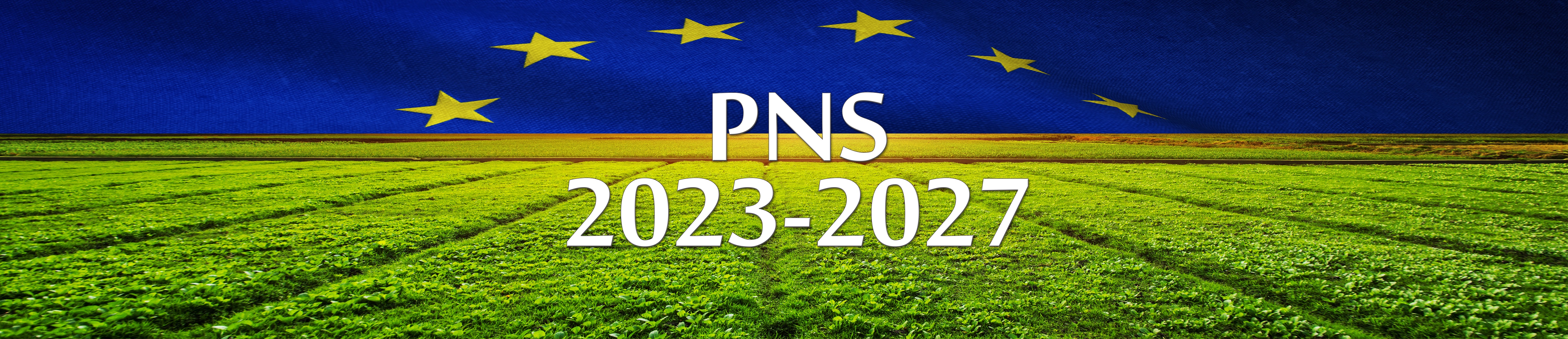 Imagine carusel pagina principală