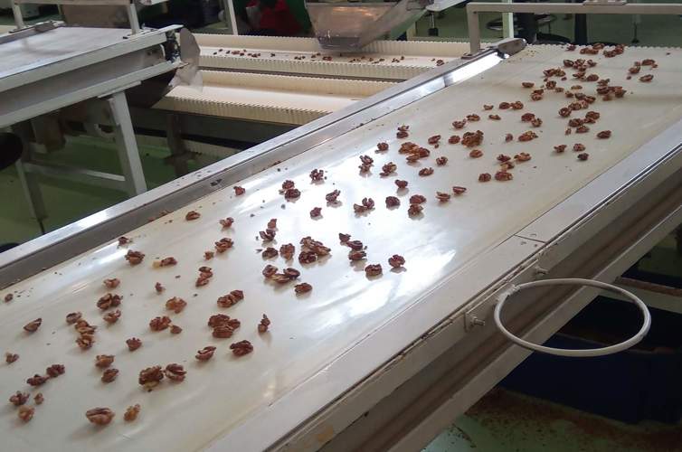 JPEG 07 27 2020 11 12 02