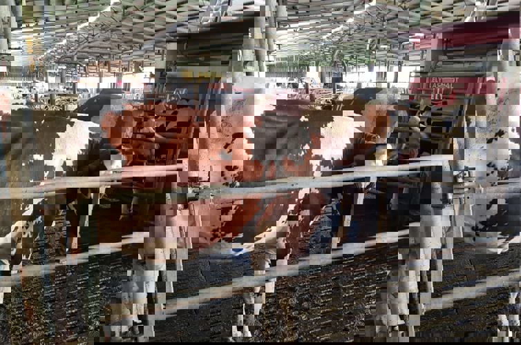 Image3 Image3