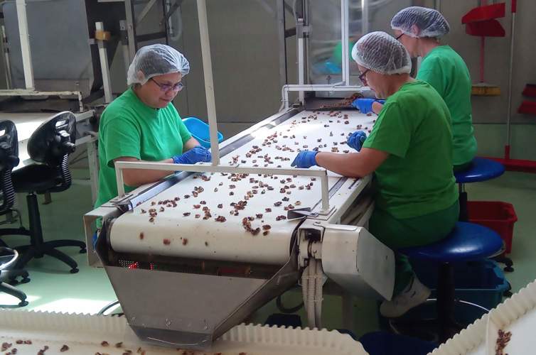 JPEG 07 27 2020 11 12 10