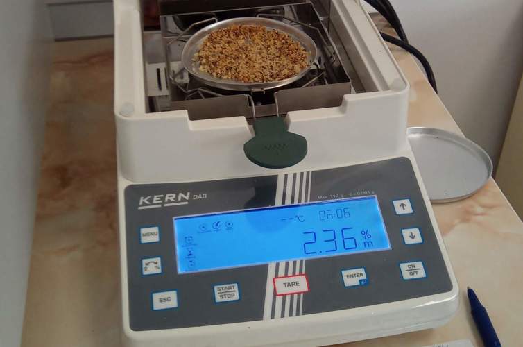 JPEG 07 27 2020 11 42 59