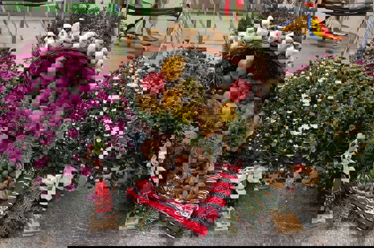 IMG 20231024 WA0010 IMG 20231024 WA0010