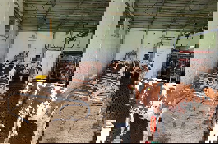 Image1 Image1