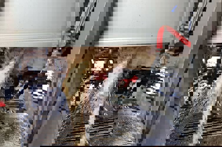 Image2 Image2